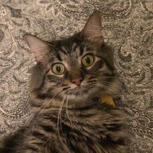 Meet your Posher, Mike and marena